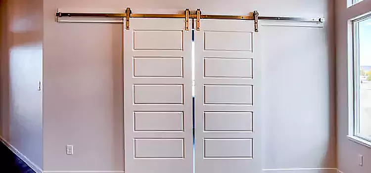 Glass Barn Door with Installation Hardware Kit Loma Linda