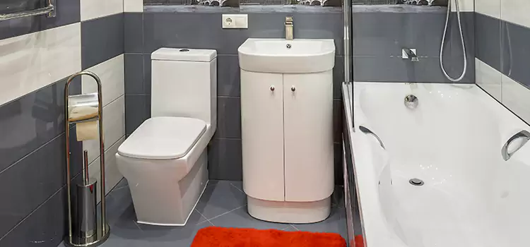 Hansgrohe Shaving Mirror Loma Linda